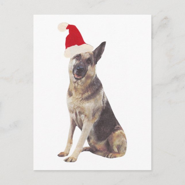 German Shepherd Santa Hat Holiday Postcard (Front)