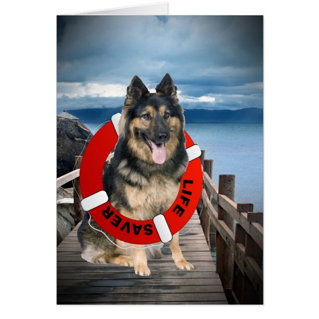 German Shepherd Search & Rescue Cards (Front)