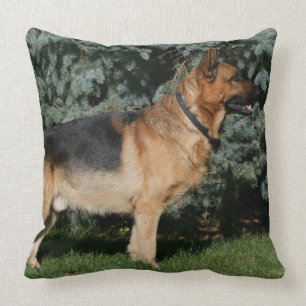 German Shepherd Show Stand Cushion