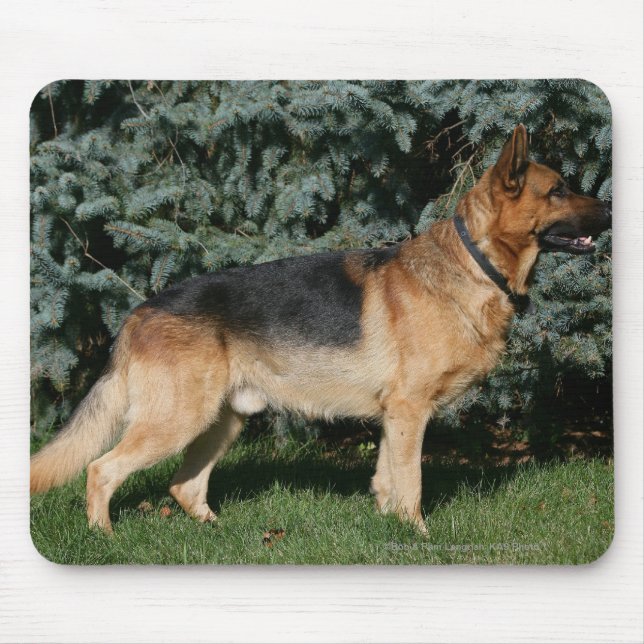 German Shepherd Show Stand Mouse Mat (Front)