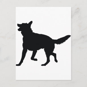 German Shepherd Silhouette Postcard