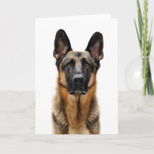 German Shepherd Sitting Up Card