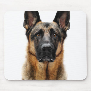 German Shepherd Sitting Up Mouse Mat