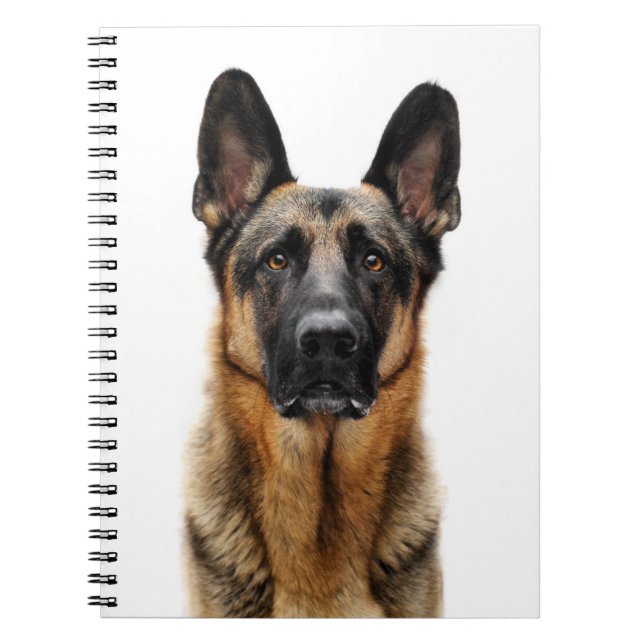 German Shepherd Sitting Up Notebook (Front)