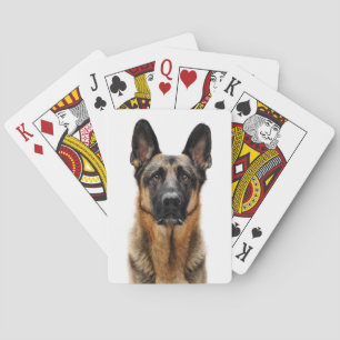 German Shepherd Sitting Up Playing Cards