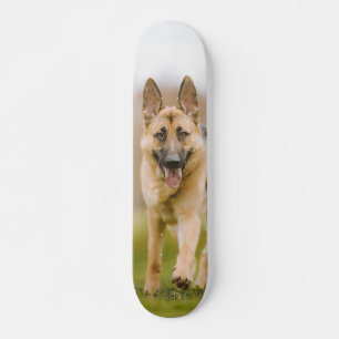 German Shepherd Skate Running In The Field Skateboard