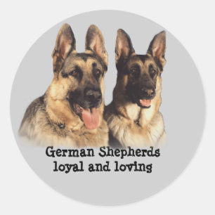 German Shepherd Stcker Classic Round Sticker