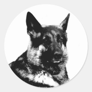 German shepherd sticker