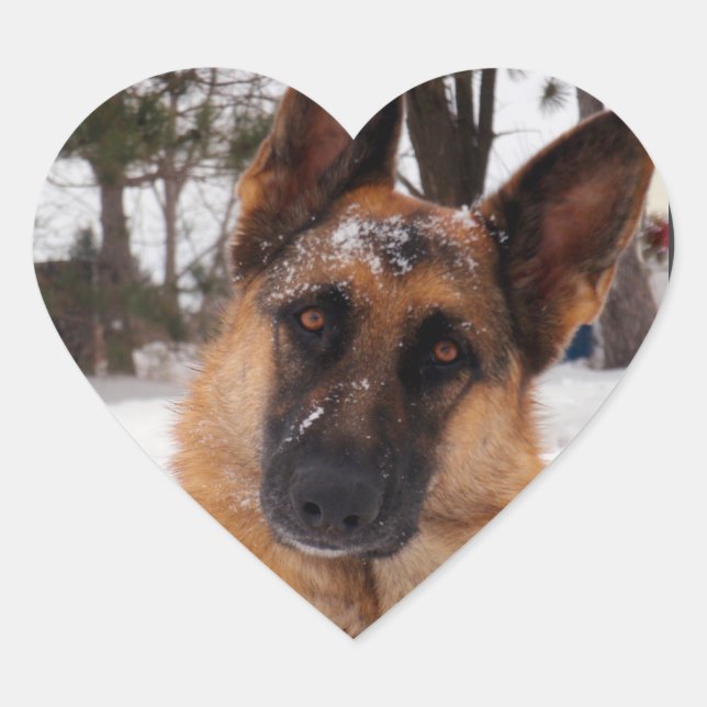 German Shepherd Stickers (Front)