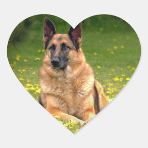 German Shepherd Stickers