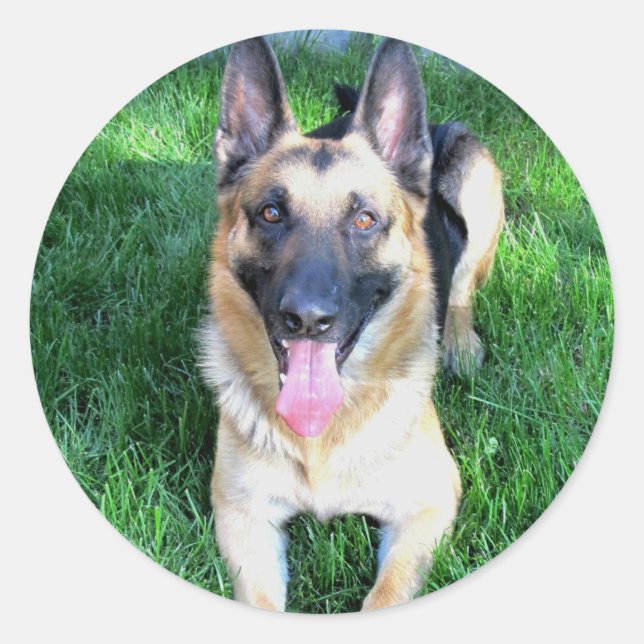 German Shepherd Stickers (Front)