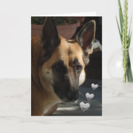German Shepherd Still Turnin' My Head Valentine Holiday Card