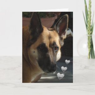 German Shepherd Still Turnin' My Head Valentine Holiday Card