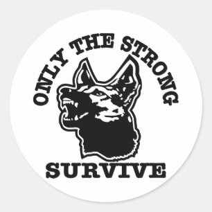 German Shepherd Strong Survive Classic Round Sticker