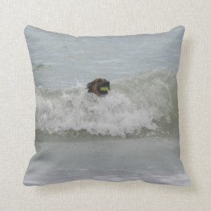 german shepherd swimming in wave cushion