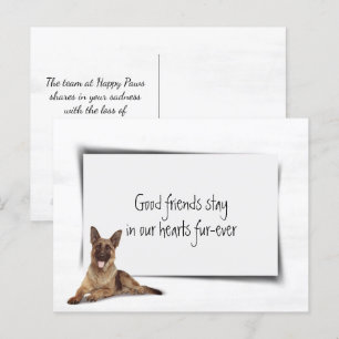 German Shepherd Sympathy Pet Loss Postcard
