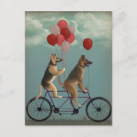 German Shepherd Tandem