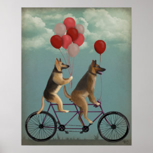 German Shepherd Tandem Poster