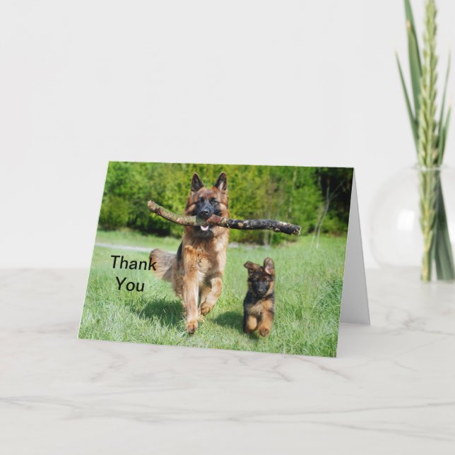 German Shepherd Thank You Card (Front)