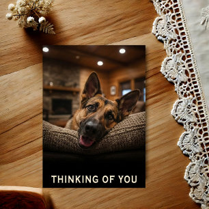 German Shepherd Thinking Of You Postcard