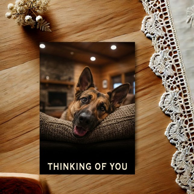 German Shepherd Thinking Of You Postcard (Creator Uploaded)