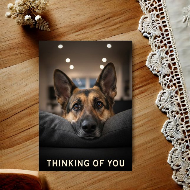 German Shepherd Thinking Of You Postcard (Creator Uploaded)