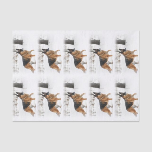 German Shepherd Tissue Paper (Front)