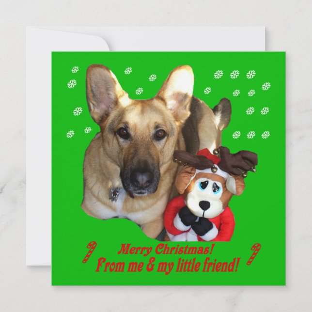 German Shepherd & Toy Reindeer Flat Card (Front)