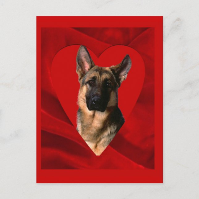 German Shepherd Valentine Holiday Postcard (Front)