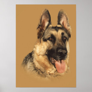 German Shepherd Very Handsome Print
