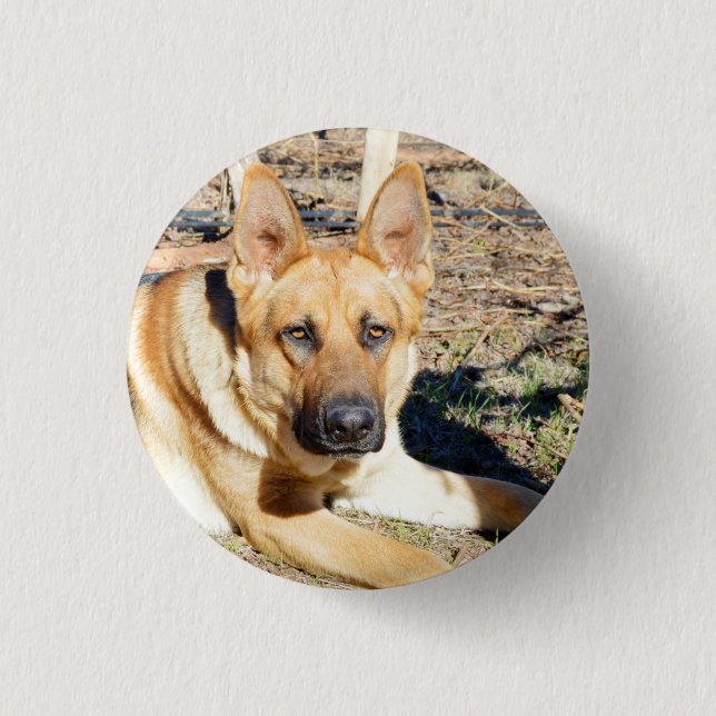 German Shepherd Wake Up,   Key Ring 3 Cm Round Badge (Front)