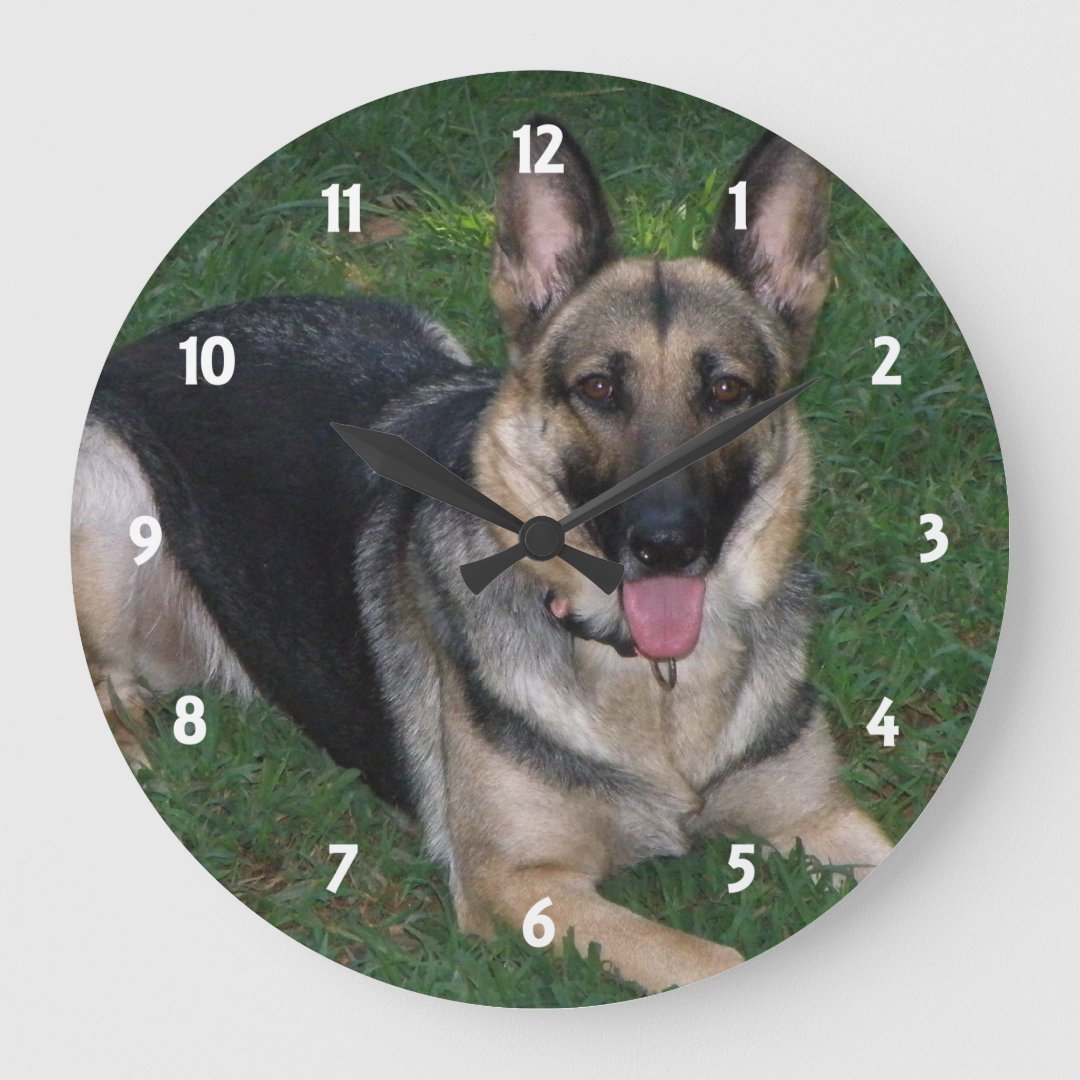 German Shepherd Wall Clock Zazzle