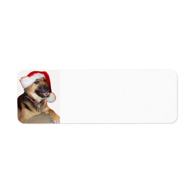 German Shepherd Wearing a Santa Claus Hat (Front)