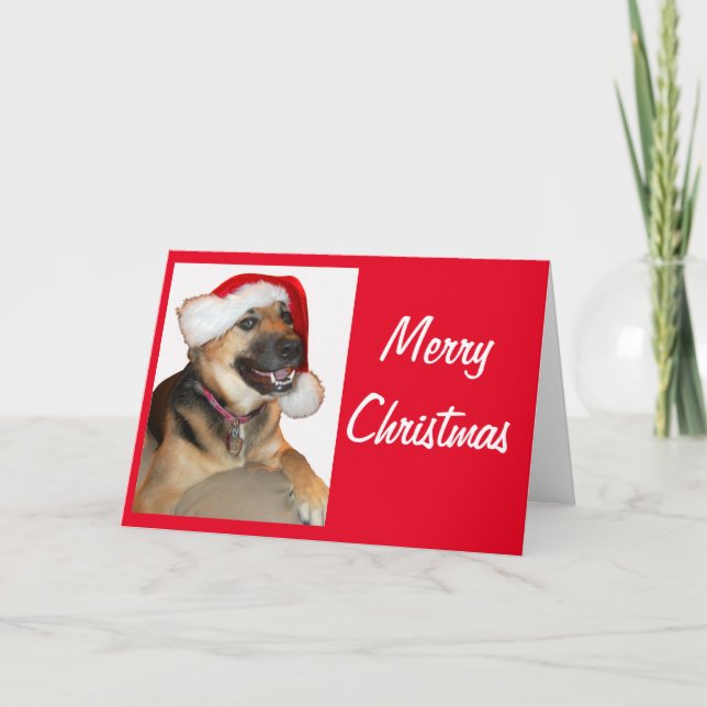 German Shepherd wearing a Santa Claus Hat Card (Front)
