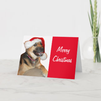 German Shepherd wearing a Santa Claus Hat Holiday Card