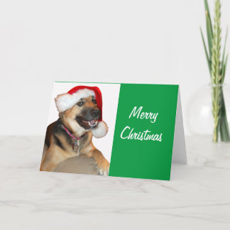 German Shepherd wearing a Santa Claus Hat Holiday Card