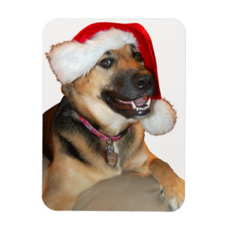 German Shepherd wearing a Santa Claus Hat Magnet