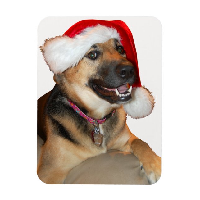 German Shepherd wearing a Santa Claus Hat Magnet (Vertical)