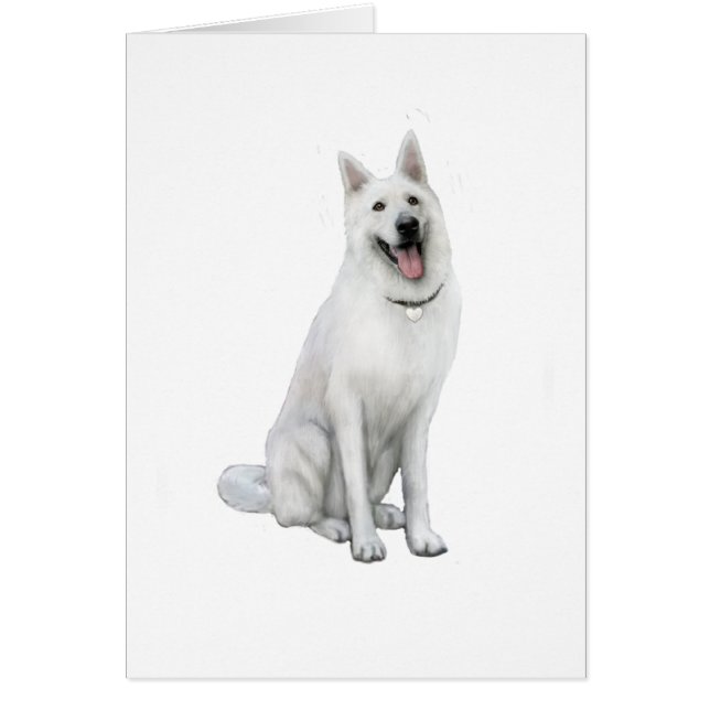 German Shepherd - White (Front)