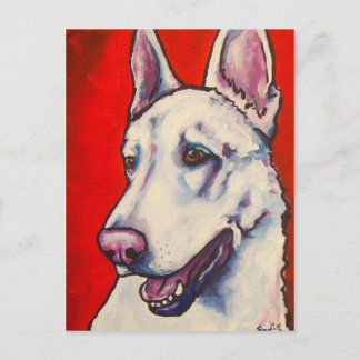 German Shepherd- White Postcard
