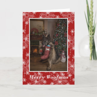 German shepherd wishing you a merry christmas. holiday card