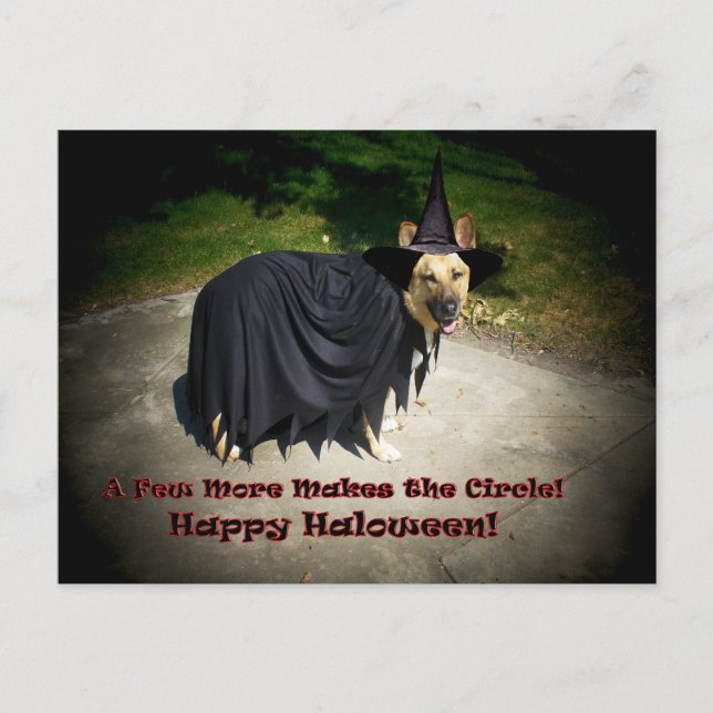 German Shepherd Witch Dog Postcard (Front)
