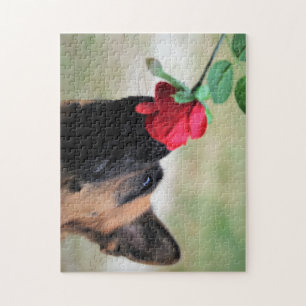German Shepherd with Red Rose Jigsaw Puzzle