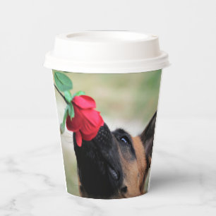 german shepherd with rose paper cups