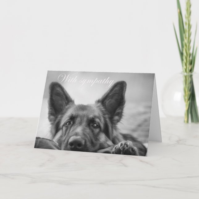 german shepherd with sympathy card (Front)