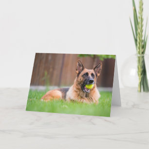 German Shepherd With Tennis Ball Card