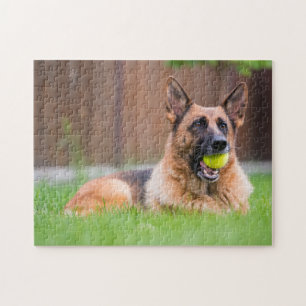 German Shepherd With Tennis Ball Jigsaw Puzzle