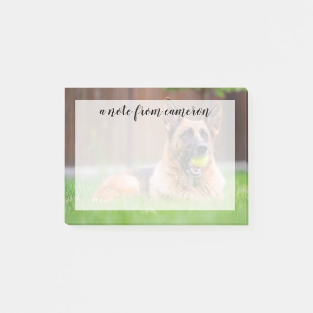 German Shepherd With Tennis Ball Post-it Notes (Front)