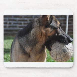 german shepherd with toy mouse mat