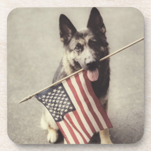 German Shepherd With US Flag Coaster